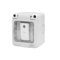 20A DP Switch with neon IP55